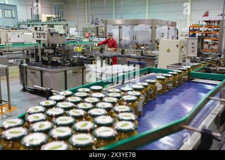 Étiquetage et emballage des légumes en conserve, haricot vert, industrie de la conserve, agroalimentaire, Centre logistique, Grupo Riberebro, Alfaro, la Rioja, Espagne Banque D'Images