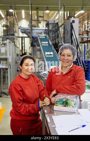 Étiquetage et emballage de légumes en conserve, champignons, industrie de la conserve, agroalimentaire, Centre logistique, Grupo Riberebro, Alfaro, la Rioja, Espagne Banque D'Images