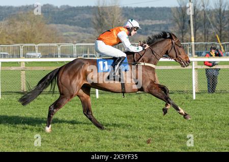 Course de haies de Wincanton, jeudi 20 janvier 2022 Banque D'Images