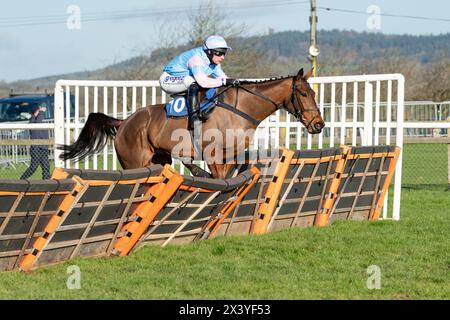 Course de haies de Wincanton, jeudi 20 janvier 2022 Banque D'Images