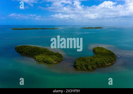 France, Guadeloupe. Sainte Rose Banque D'Images