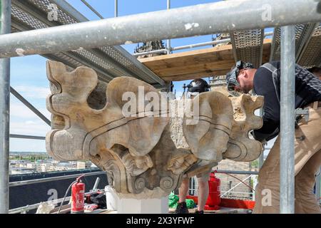 Die Steinmetzmeister Norman Hein und Markus Funke von der Firma Nuethen Nüthen Restaurierungen aus Erfurt arbeiten am 29.04.2024 am unteren Teil einer Kreuzblume am Magdeburger Dom. Teil der Sanierungsarbeiten ist die Sanierung der doppelten Kreuzblume als oberer Abschluss, die fuer entsprechende Restaurierungsarbeiten vor CA. Einem Jahr abgenommen wurde. Der obere Teil und der Fuss der Kreuzblume wurden im Zuge der Arbeiten erneuert, da sie zu stark geschaedigt waren. Der grosse, mittlere Teil konnte erhalten werden. Insgesamt erfolgt eine statische Stabilisierung der Bekroenung. Par Kran wur Banque D'Images