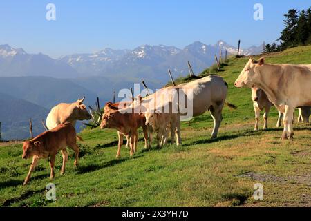 France, occitanie, département des Hautes Pyrénées (65), col d'Aspin Banque D'Images