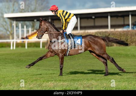 Troisième course à Wincanton, handicap Chase, jeudi 20 janvier 2022 Banque D'Images