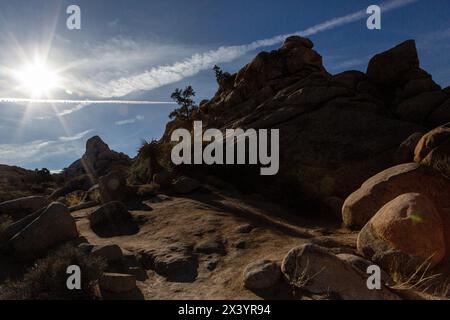 Rayons de soleil sur les rochers du désert dans le parc Joshua Tree Banque D'Images