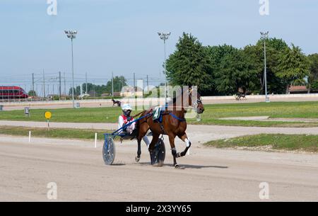 Padoue, Italie - 28 avril 2024 : entraînement d'un trotteur avant la course, hippodrome le Padovanelle, jockey D. Alessandra, cheval Elettra Del Ronco Banque D'Images