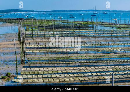France, Nouvelle-Aquitaine, bassin d'Arcachon, Cap Ferret, parcs huîtres à marée basse Banque D'Images