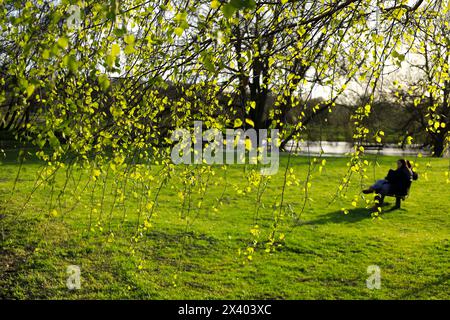 Salisbury, Angleterre- 30 mars 2024 : magnifiques jardins Queen Elizabeth dans la ville de Salisbury Banque D'Images