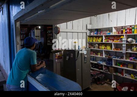 Cocaïne, plantation et préparation de cocaïne, Colombie, drogue Banque D'Images