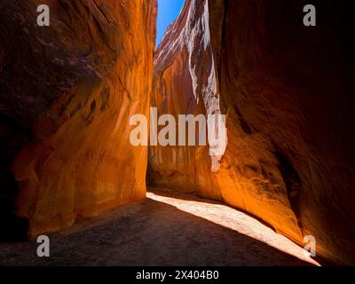 La fourche sèche rétrécit. Big Hollow Wash, Utah, États-Unis Banque D'Images