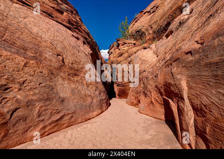 Spooky Gulch. Big Hollow Wash, Utah, États-Unis Banque D'Images