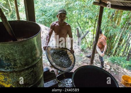 Cocaïne, plantation et préparation de cocaïne, Colombie, drogue Banque D'Images