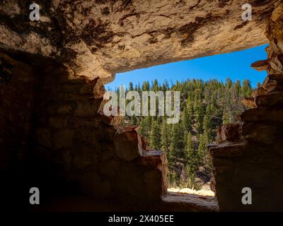 Habitations en falaise. Walnut Canyon National Monument, Arizona, États-Unis Banque D'Images