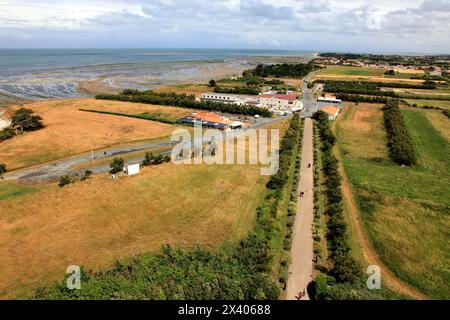 France, Nouvelle Aquitaine, Charente maritime (17), Oléron Island, Saint denis d'Oléron, phare de chassiron Banque D'Images