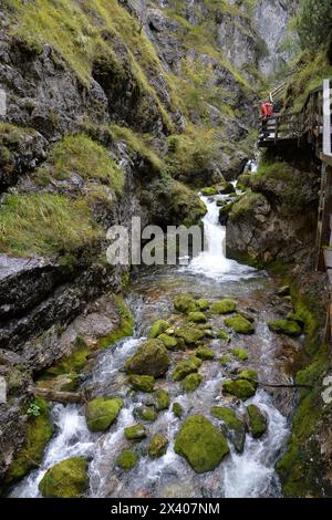 Autriche, Styrie, Alpes D'ENNSTAL, un homme se tient debout sur un pont en bois dans la gorge de Wasserlochklamm Banque D'Images