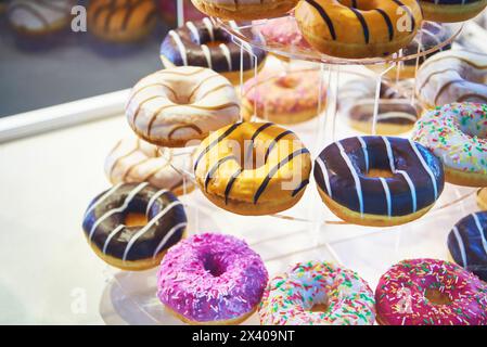 Beignets colorés sur une vitrine Banque D'Images