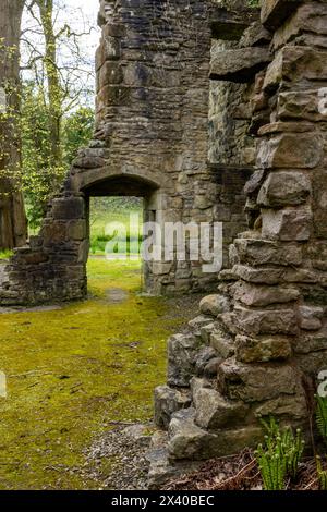 Ruines de l'abbaye de Whalley à Whalley, Lancashire, Angleterre Banque D'Images