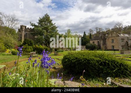 Fleurs d'été à Whalley Abbey, Lancashire, Angleterre Banque D'Images