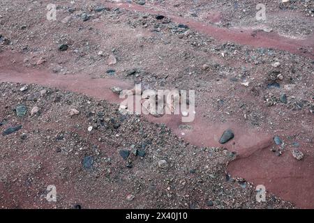 Red Sandstone Conglomerate Rock, Aberdour, Fife Coast, Écosse, Royaume-Uni Banque D'Images