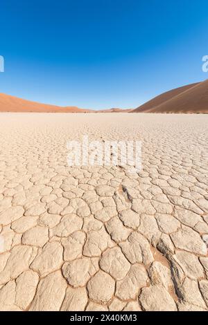 Empreintes séchées à travers Deadvlei ; Sossusvlei, Namib-Naukluft Park, Namibie Banque D'Images