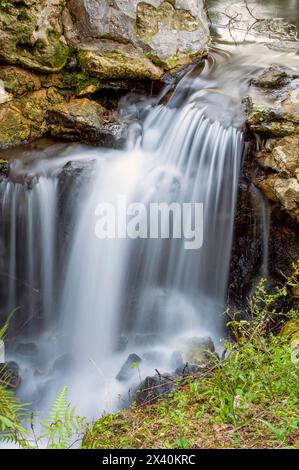 Petite cascade en cascade sur la roche ; Juniper Springs, Floride, États-Unis d'Amérique Banque D'Images