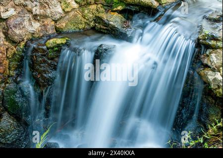 Petite cascade en cascade sur la roche ; Juniper Springs, Floride, États-Unis d'Amérique Banque D'Images