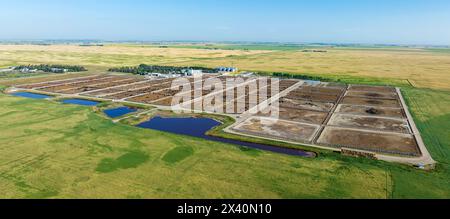 Vue aérienne panoramique d'un parc à bétail dans les Prairies canadiennes avec un ciel bleu, à l'est de Langdon, Alberta, Canada ; Alberta, Canada Banque D'Images