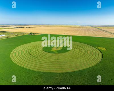 Vue aérienne d'un champ vert coupé dans un motif circulaire avec des lignes de récolte et un ciel bleu, à l'est de Langdon, Alberta, Canada ; Alberta, Canada Banque D'Images