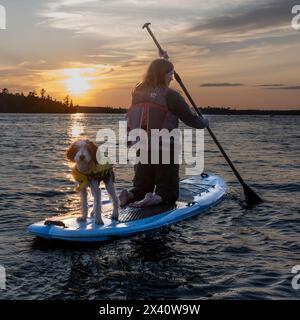 Fille monte avec son chien sur un stand-up Paddleboard au crépuscule sur un lac ; Lake of the Woods, Ontario, Canada Banque D'Images