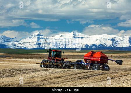 Tracteur et semoir, ensemencant un champ avec une chaîne de montagnes enneigée au loin avec des nuages et un ciel bleu, à l'ouest de High River, Alberta Banque D'Images