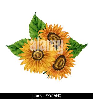 Bouquet de tournesols aquarelle, arrangement floral, composition de fleurs jaunes. Illustration botanique dessinée à la main dessin de fleurs d'été. Fleur d'automne Banque D'Images