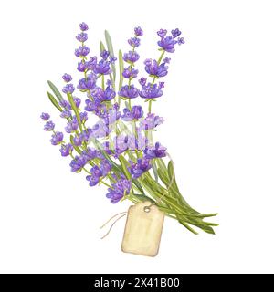 Bouquet de fleurs de lavande avec étiquette kraft, feuilles et branche. Clipart botanique boho de mariage. Illustration d'aquarelle dessinée à la main isolée sur le dos blanc Banque D'Images