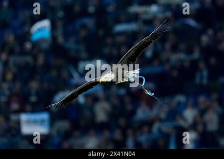 Rome, Italie. 27 avril 2024. L'aigle Olympia vole avant le match de Serie A TIM entre le SS Lazio et le Hellas Verona au Stadio Olimpico le 27 avril 2024 à Rome, en Italie. Crédit : Giuseppe Maffia/Alamy Live News Banque D'Images