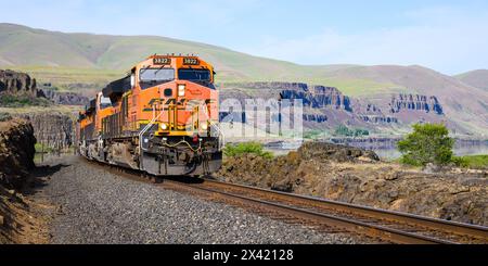 Dallesport, WA, États-Unis - 23 avril 2024 ; train de marchandises BNSF passant par Columbia gorge avec falaises de basalte et voie ferrée Banque D'Images