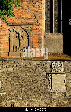 Swidnica, basse-Silésie, Pologne, cathédrale gothique de SS. Stanislav et Vaclav. Swidnica, basse-Silésie, photo Kazimierz Jurewicz, Banque D'Images