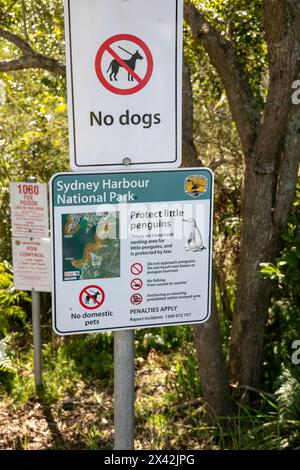 Collins Beach à Manly Sydney, Sydney Harbour National Park signe avertissant les animaux domestiques ou chiens autorisés dans le parc, Nouvelle-Galles du Sud, Australie Banque D'Images