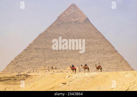 Gizeh, le Caire, Égypte. Des hommes sur des chameaux au complexe de la Grande Pyramide. (Usage éditorial uniquement) Banque D'Images