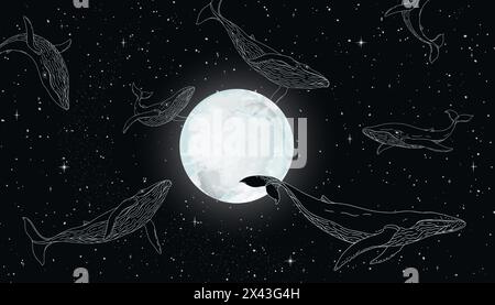 Papier peint baleine. Animal océanique et ligne lunaire Poissons marins. Motif céleste. Nuit étoilée. Main doodle mer nature. Aperçu mammifère aquatique volant dans le ciel de minuit. Vecteur fond de galaxie mystique Illustration de Vecteur