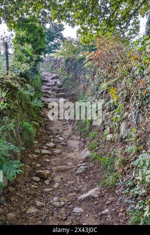 Espagne, Galice. Sentier rocheux sur le Camino de Santiago (chemin de raccordement James) entre Ventras de Naron et Palas de Rei Banque D'Images