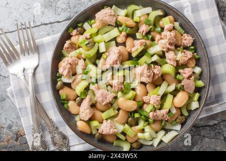 Salade de thon en conserve avec haricots au beurre, céleri, oignons verts et câpres gros plan dans une assiette sur la table. Vue horizontale de dessus Banque D'Images