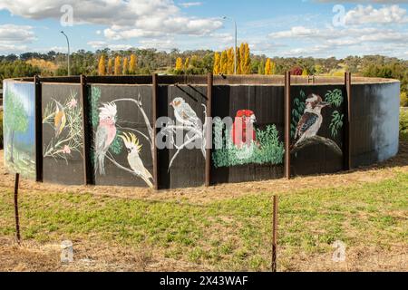 Water Tank Art par Michael Crook et Ricky Ah-See, Molong, NSW, Australie Banque D'Images