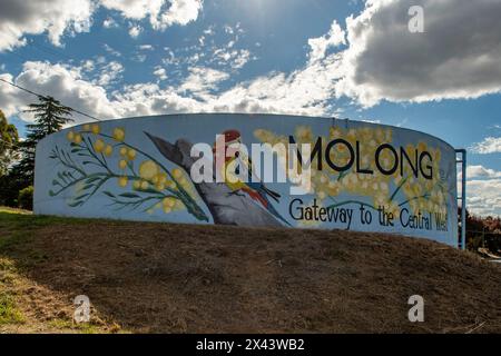 Water Tank Art par Michael Crook et Ricky Ah-See, Molong, NSW, Australie Banque D'Images