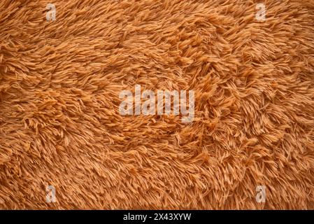 Gros plan du fond de texture de tapis brun. Photo de haute qualité Banque D'Images