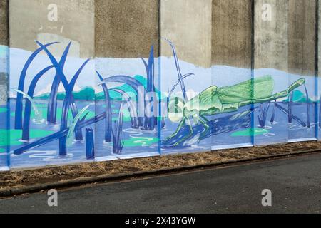 Water Reservoir Art par Street Art Murals, Green Hill, Queensland, Australie Banque D'Images