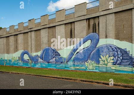 Water Reservoir Art par Street Art Murals, Green Hill, Queensland, Australie Banque D'Images