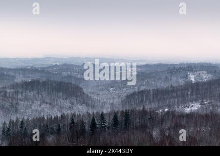 Paysage d'hiver vallonné avec forêt et village dispersé, campagne silencieuse sur la journée nuageuse Banque D'Images