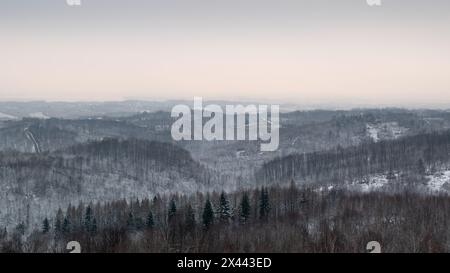 Paysage d'hiver vallonné avec forêt et village dispersé, campagne silencieuse sur la journée nuageuse Banque D'Images