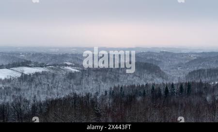 Paysage d'hiver vallonné avec forêt et village dispersé, campagne silencieuse sur la journée nuageuse Banque D'Images