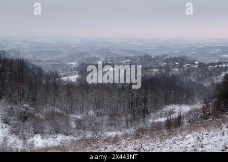 Paysage d'hiver vallonné avec forêt et village dispersé, campagne silencieuse sur la journée nuageuse Banque D'Images