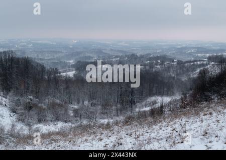 Paysage d'hiver vallonné avec forêt et village dispersé, campagne silencieuse sur la journée nuageuse Banque D'Images